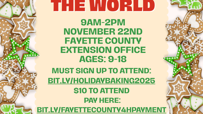 Holiday Baking Around the World November 22 2025