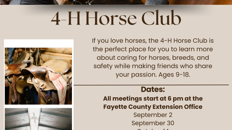 horse club 25-26
